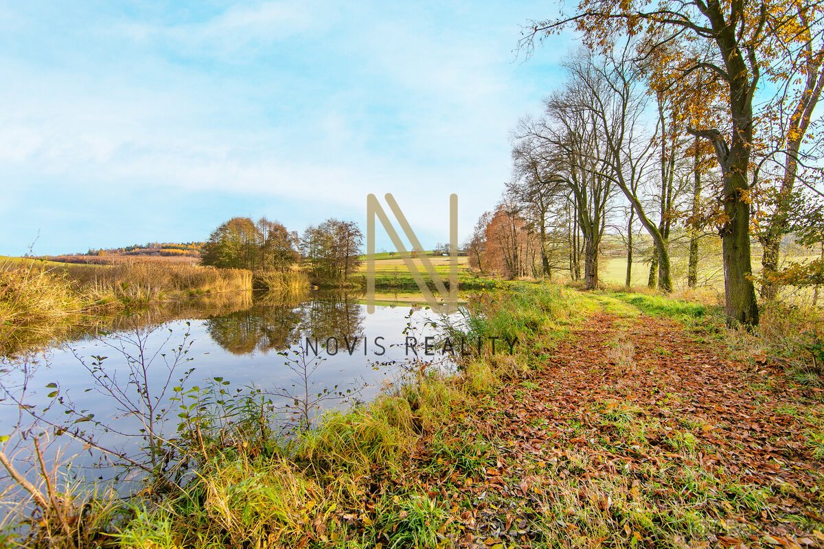 Prodej, rybník, 2 713 m², Týnec, okres Klatovy