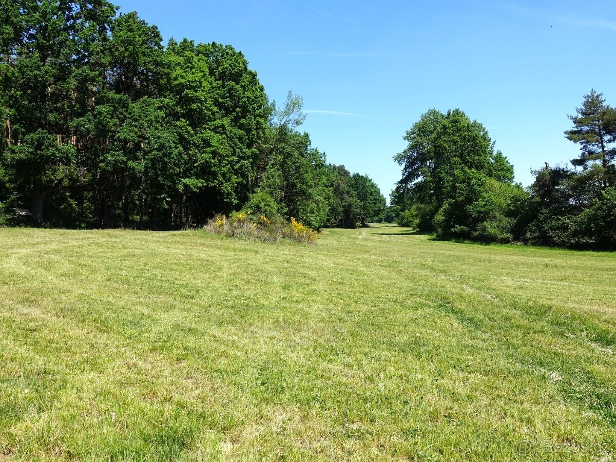 Prodej pěkného pozemku 3 292 m², kousek od Klatov