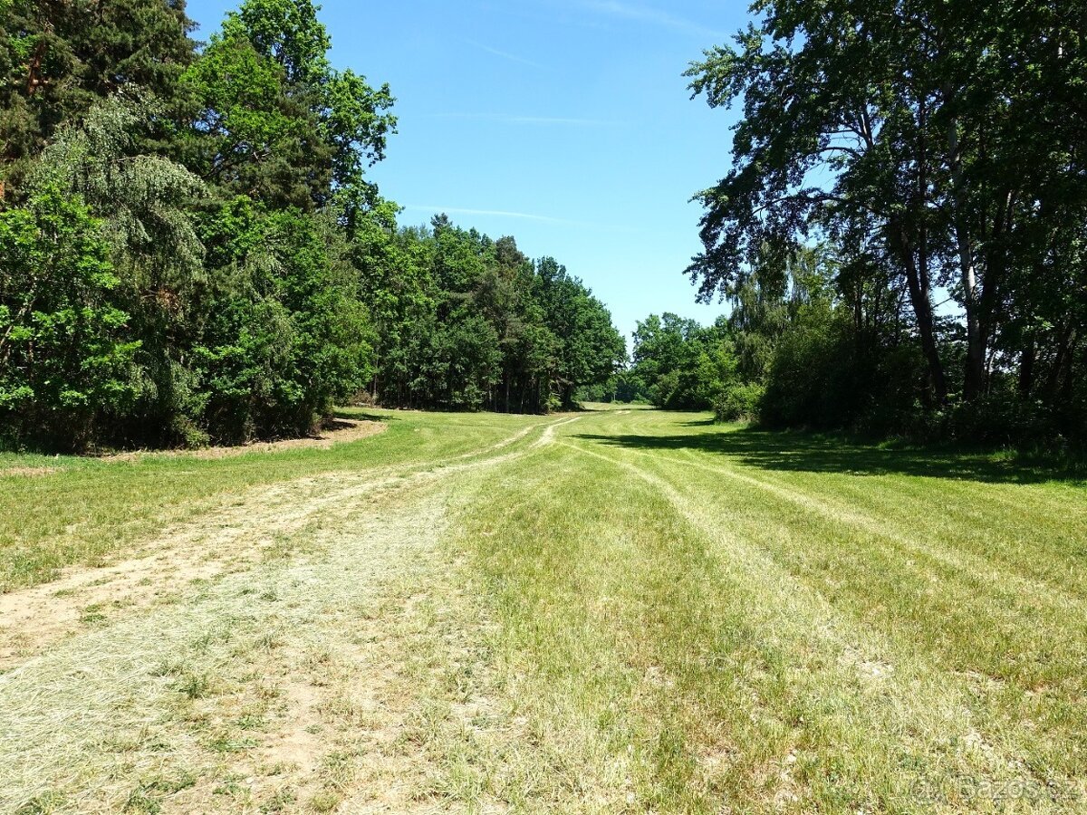 Prodej pěkného pozemku 3 292 m², kousek od Klatov