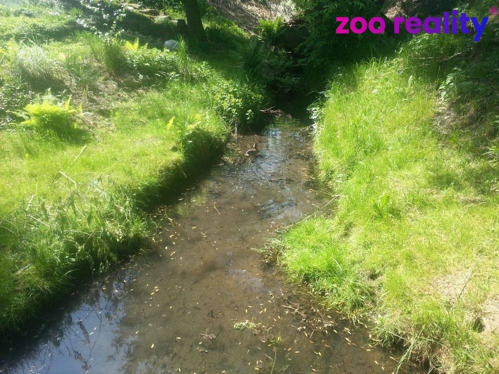 Prodej, stavební pozemek, 2647 m2, Písek