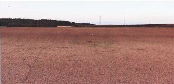 Orná půda 59.157 m2 - kat. území Krakovany, okres Kolín