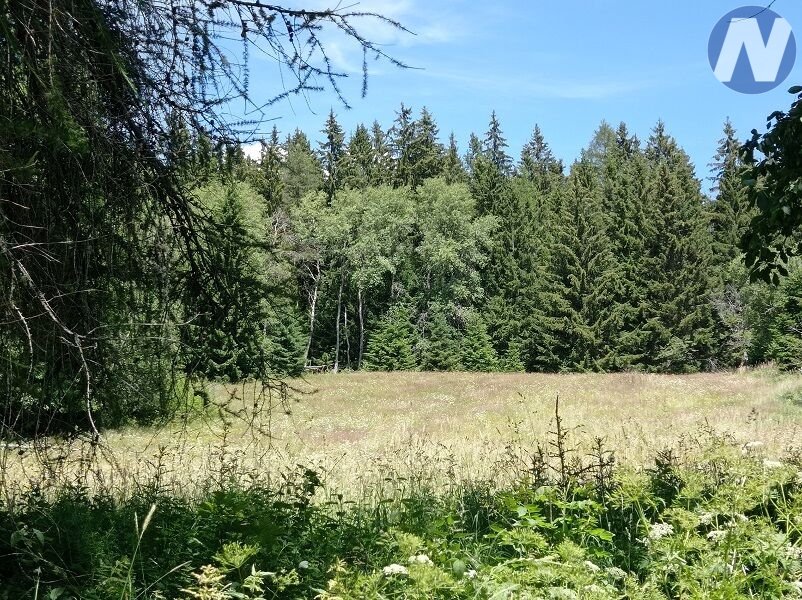 Černá Lada, pozemek s výměrou 22.888 m2