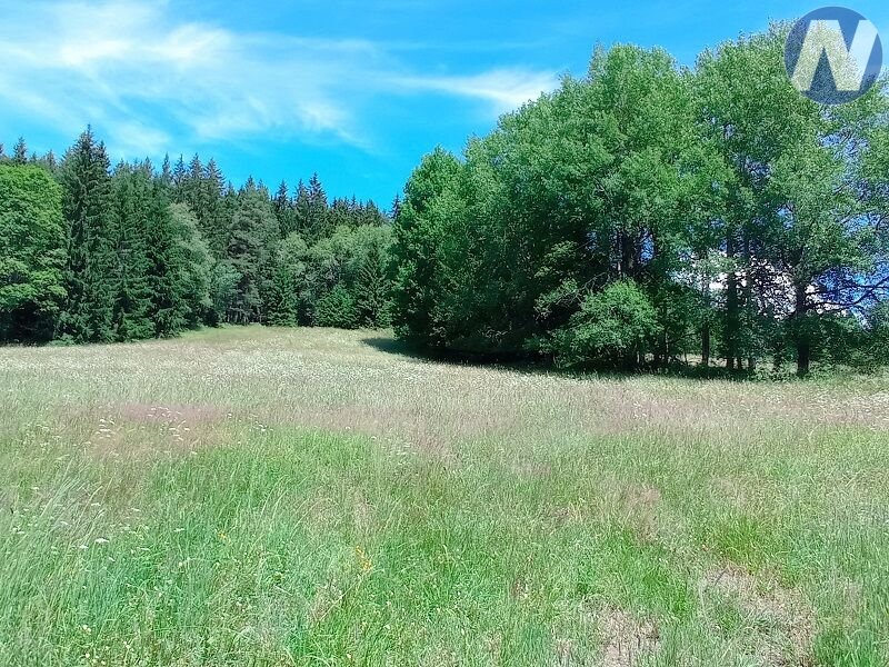 Černá Lada, pozemek s výměrou 22.888 m2