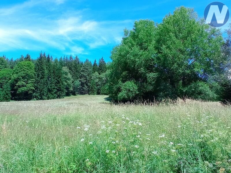 Černá Lada, pozemek s výměrou 22.888 m2