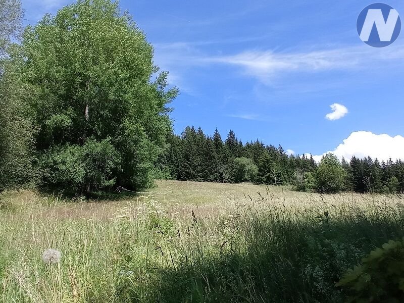 Černá Lada, pozemek s výměrou 22.888 m2