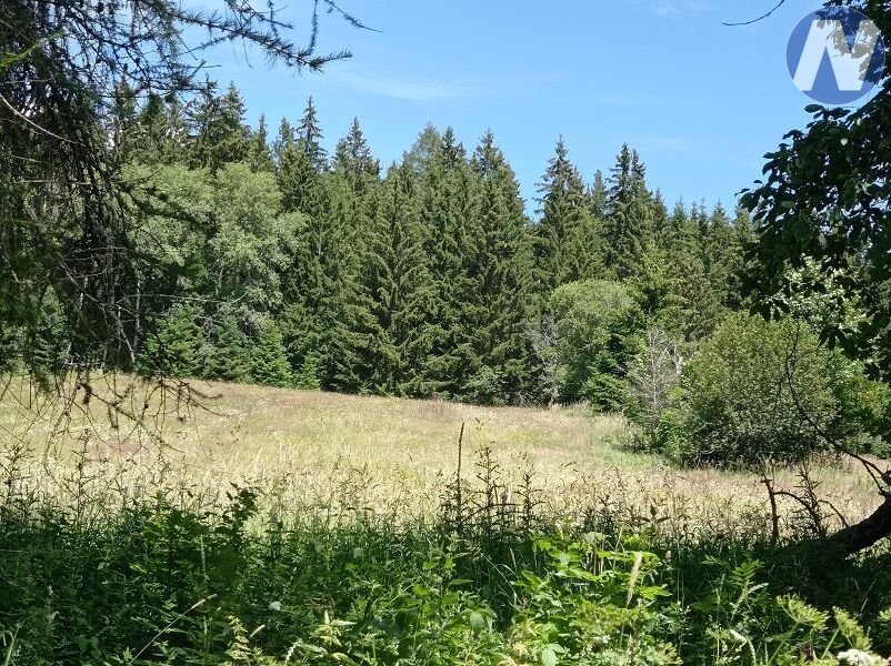 Černá Lada, pozemek s výměrou 22.888 m2