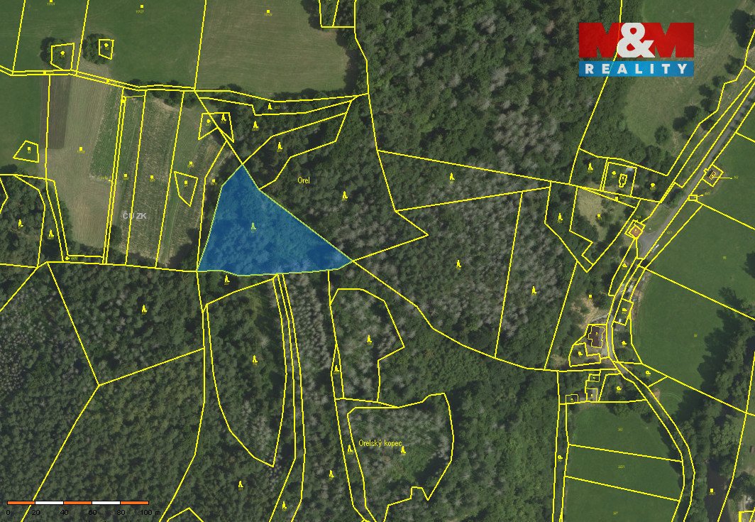 Prodej lesa v Koroužné, Bystřice nad Pernštejnem