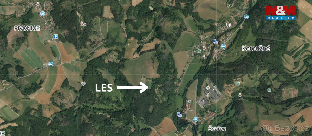 Prodej lesa v Koroužné, Bystřice nad Pernštejnem