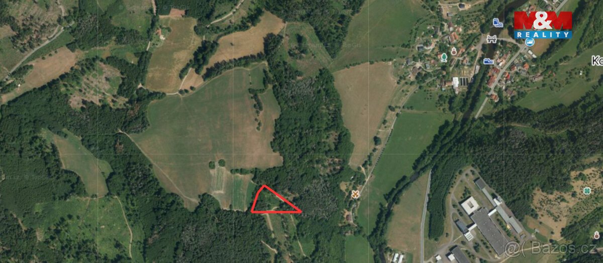 Prodej lesa v Koroužné, Bystřice nad Pernštejnem