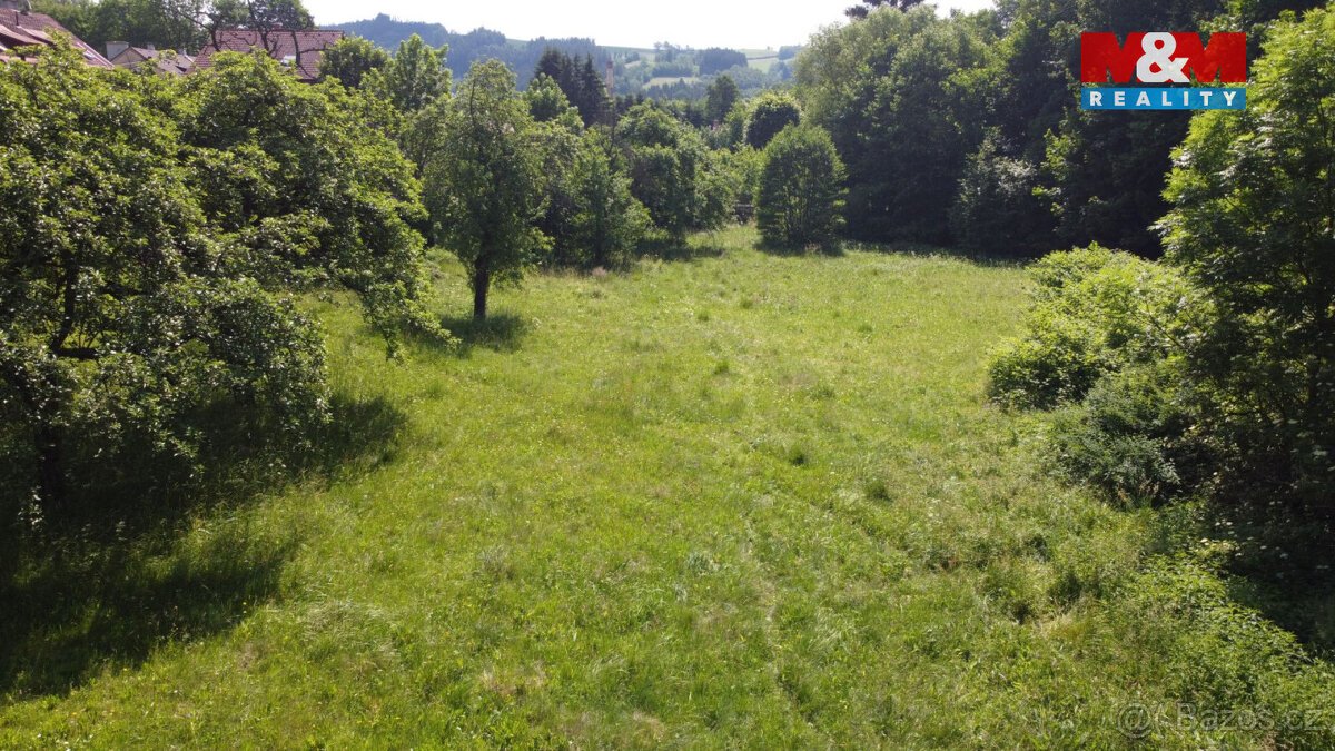 Prodej pozemku 3359m2, Plavy
