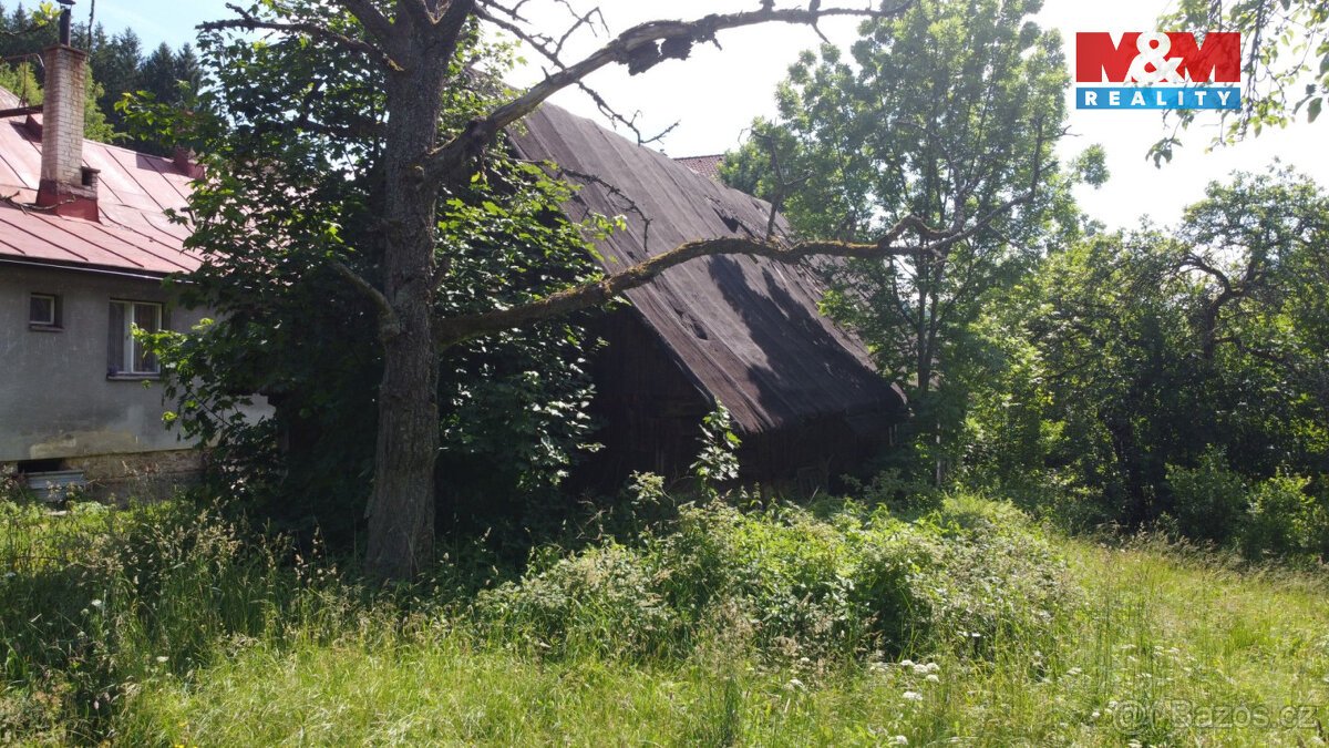 Prodej pozemku 3359m2, Plavy