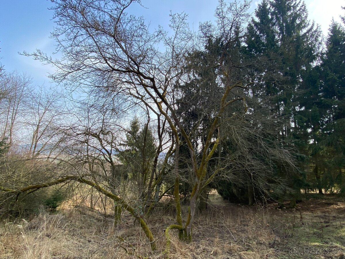 Pozemky ostatní plochy Lázy (Městečko Trnávka)