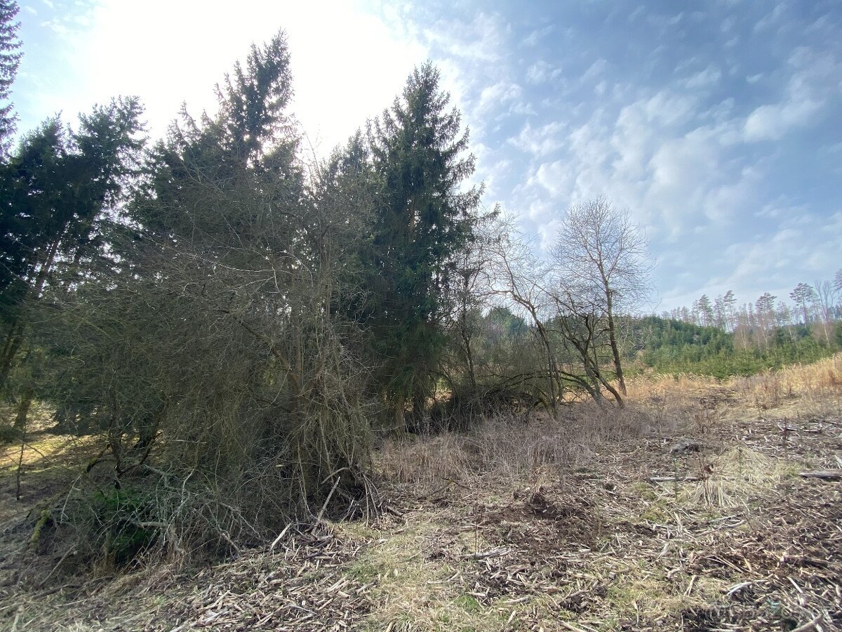Pozemky ostatní plochy Lázy (Městečko Trnávka)