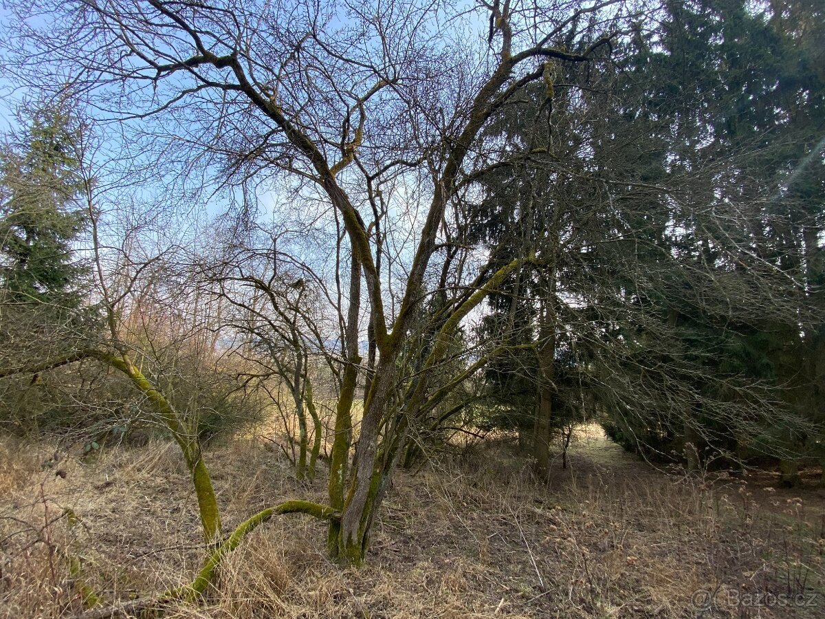 Pozemky ostatní plochy Lázy (Městečko Trnávka)