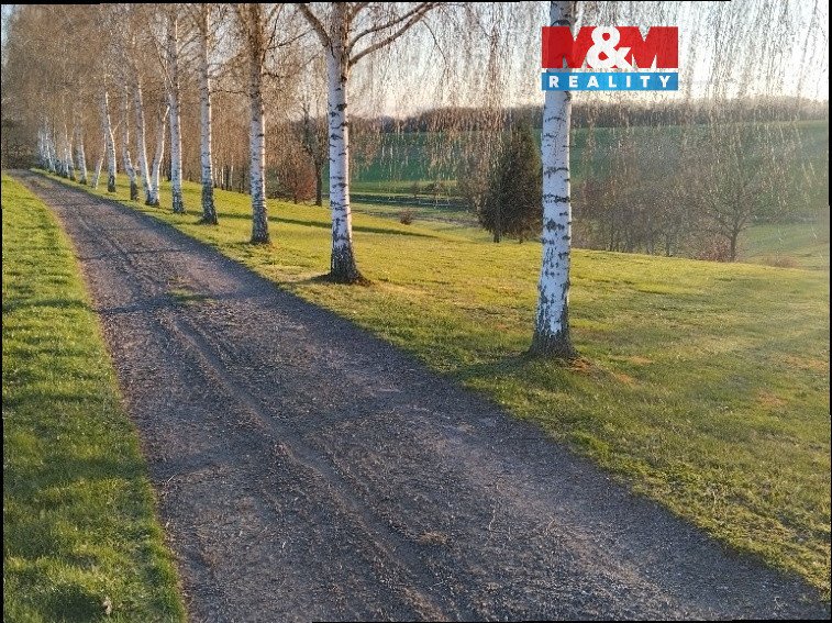 Prodej ideální 1/2 pozemků 33 850 m² – Svijanský Újezd