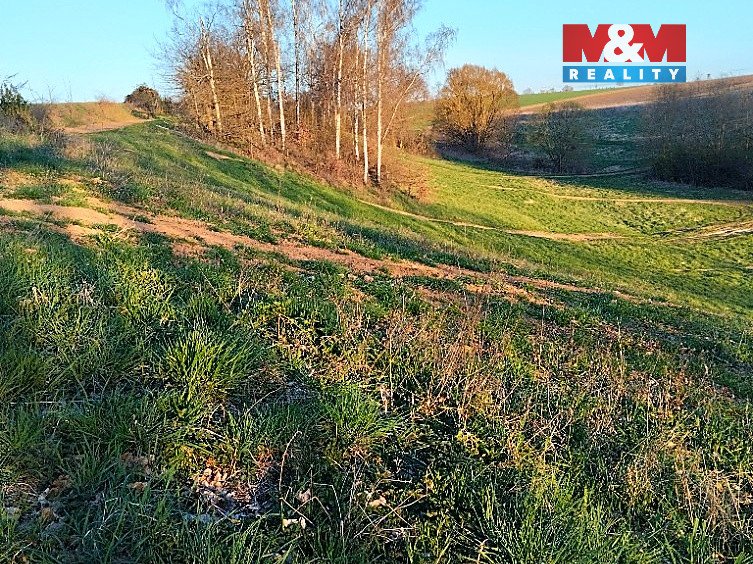 Prodej ideální 1/2 pozemků 33 850 m² – Svijanský Újezd