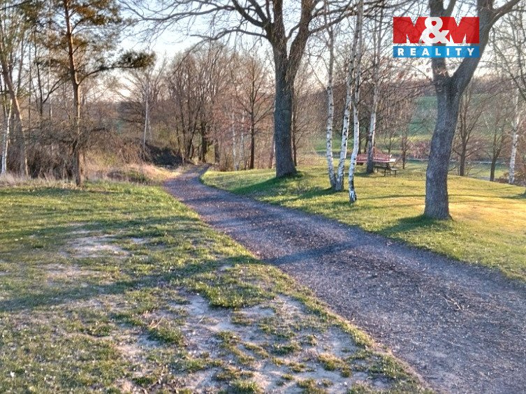 Prodej ideální 1/2 pozemků 33 850 m² – Svijanský Újezd