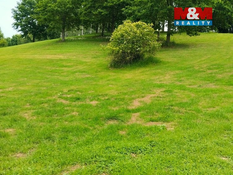 Prodej ideální 1/2 pozemků 33 850 m² – Svijanský Újezd