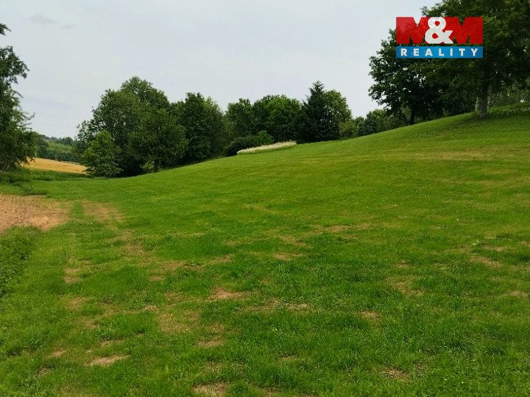 Prodej ideální 1/2 pozemků 33 850 m² – Svijanský Újezd
