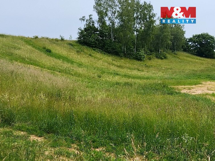 Prodej ideální 1/2 pozemků 33 850 m² – Svijanský Újezd