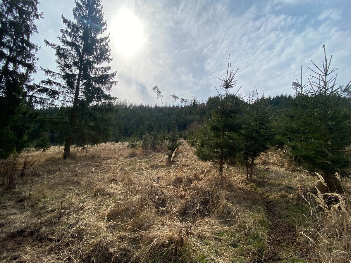 Pozemek trvalý travní porost Lázy (Městečko Trnávka)