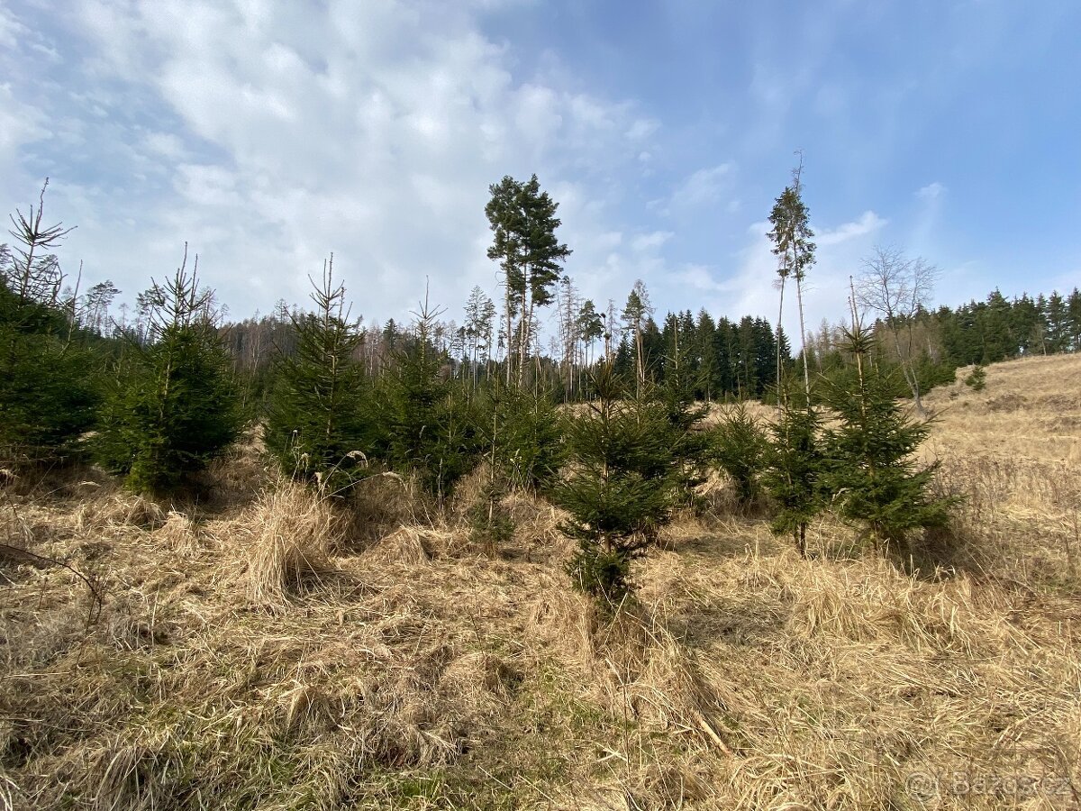 Pozemek trvalý travní porost Lázy (Městečko Trnávka)