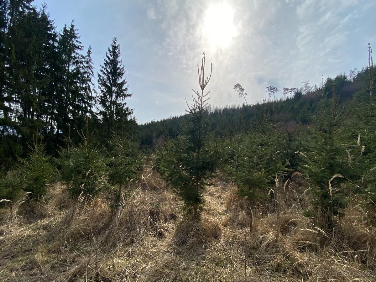 Pozemek trvalý travní porost Lázy (Městečko Trnávka)