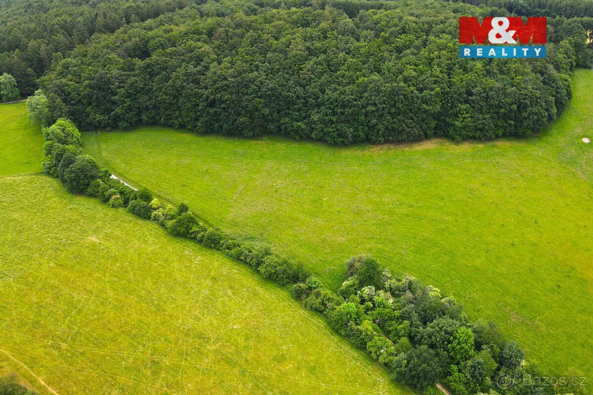 Prodej louky, 11031 m², Staré Hutě