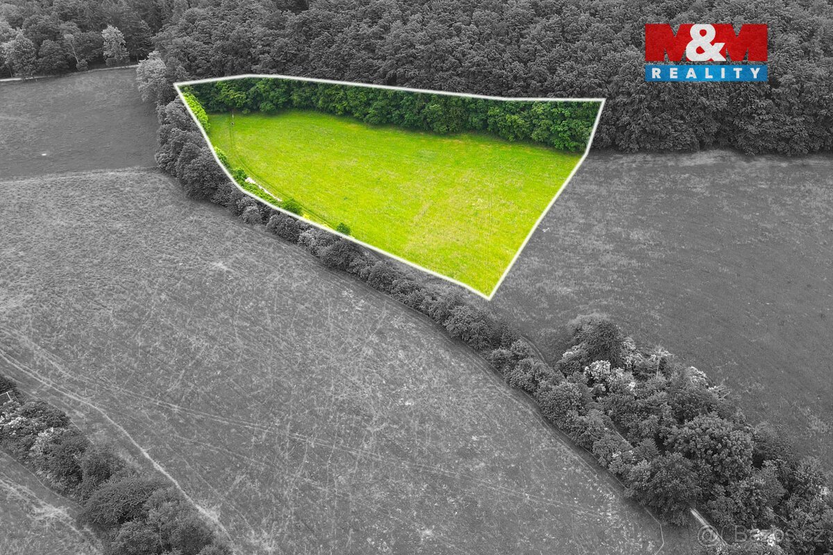 Prodej louky, 11031 m², Staré Hutě
