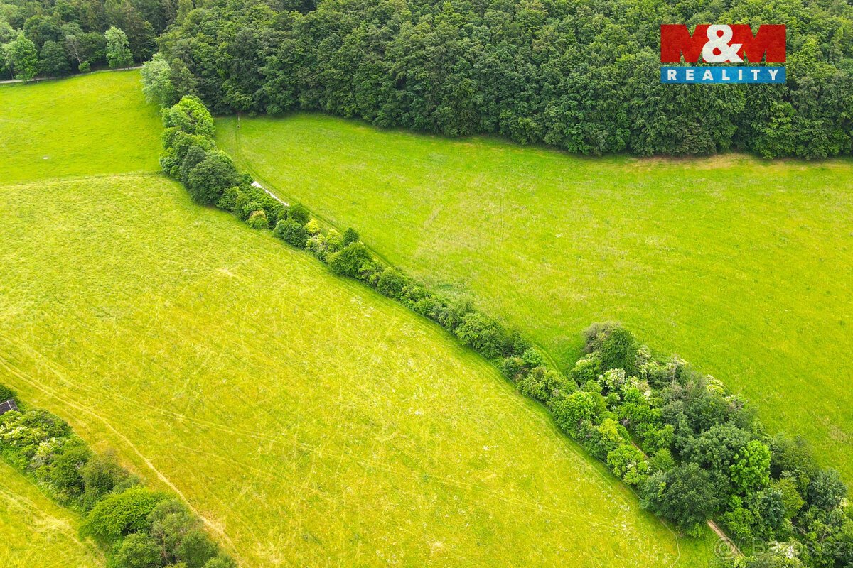 Prodej louky, 11031 m², Staré Hutě