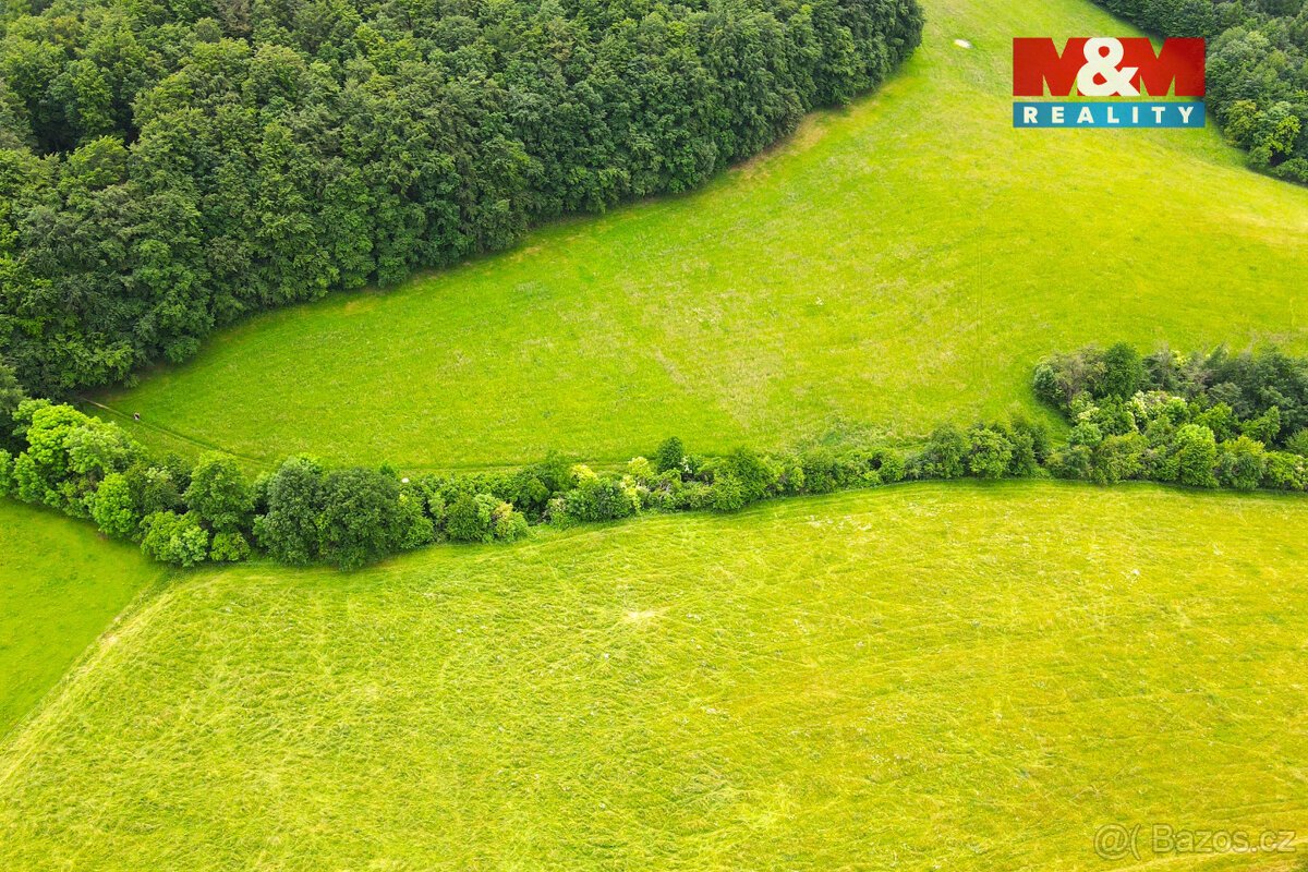 Prodej louky, 11031 m², Staré Hutě