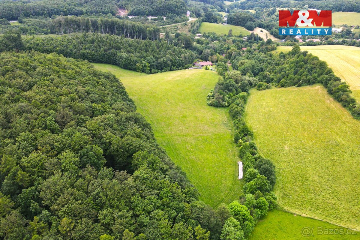 Prodej louky, 11031 m², Staré Hutě