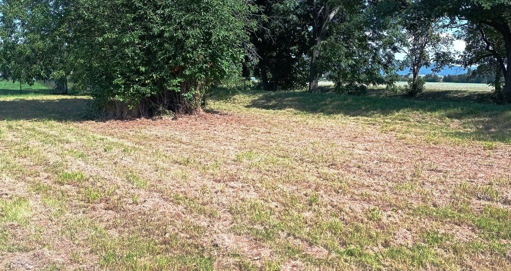 Pozemek 1.200 m2 zahrada, sport, výroba, služby