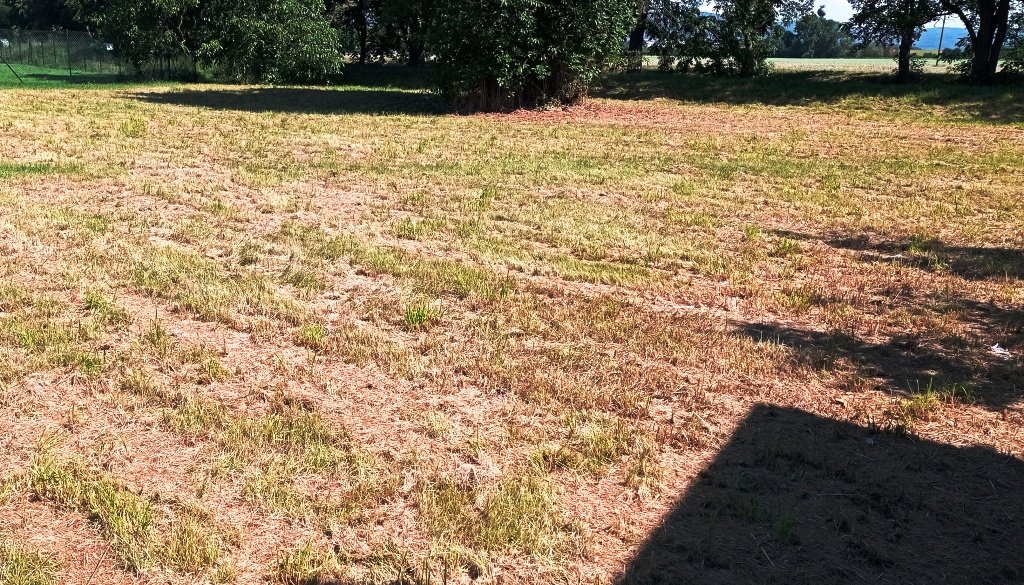 Pozemek 1.200 m2 zahrada, sport, výroba, služby