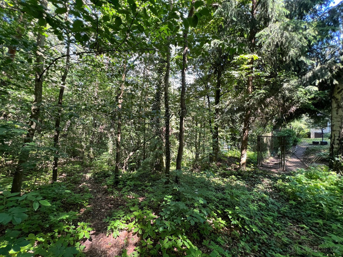Malebný pozemek 2217 m2 u Prahy - Kamenný Přívoz