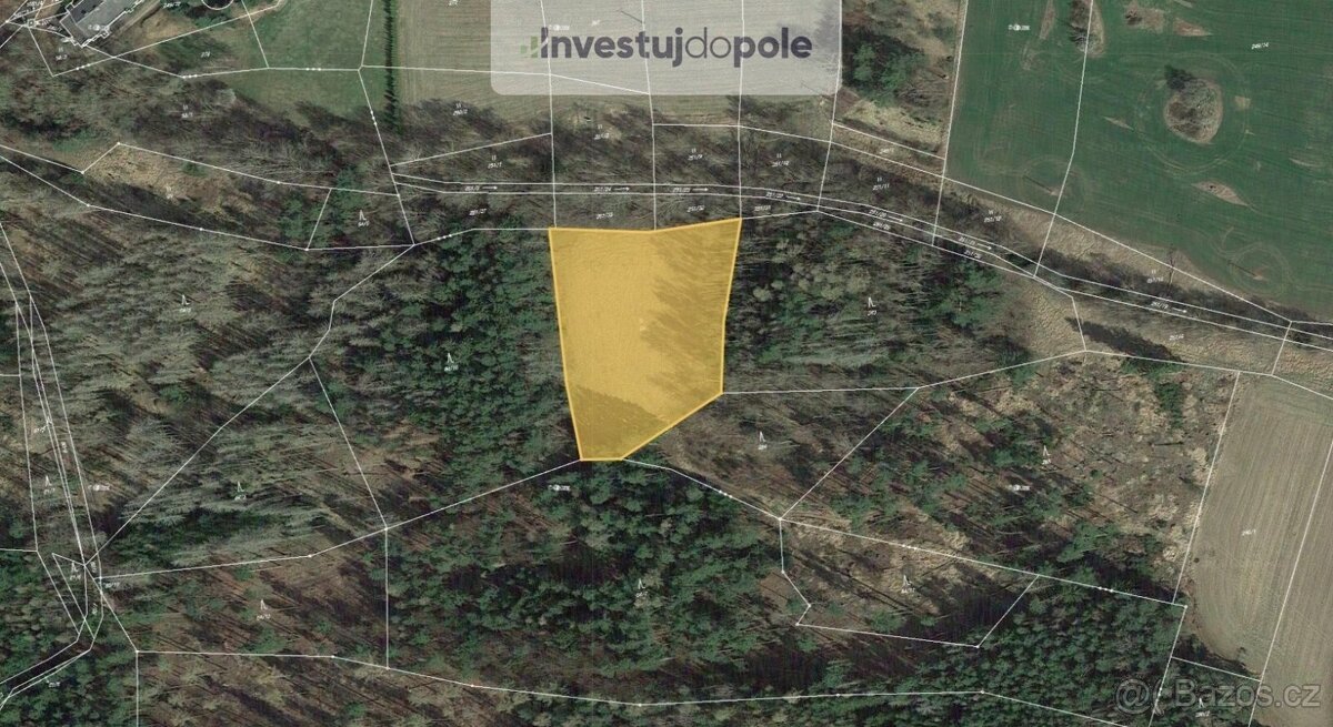 Prodej louky 6 305 m², Netvořice - Maskovice