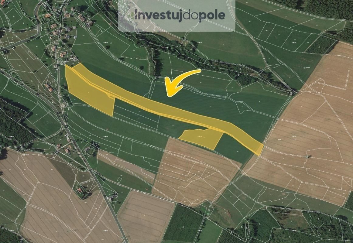 Prodej pole 64 664 m², Roztoky u Jilemnice