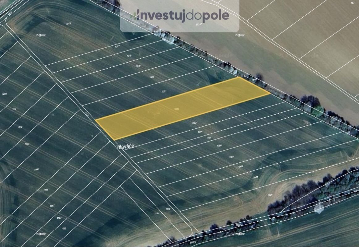 Prodej podílu 1/6 pole 1 997 m², Šelešovice