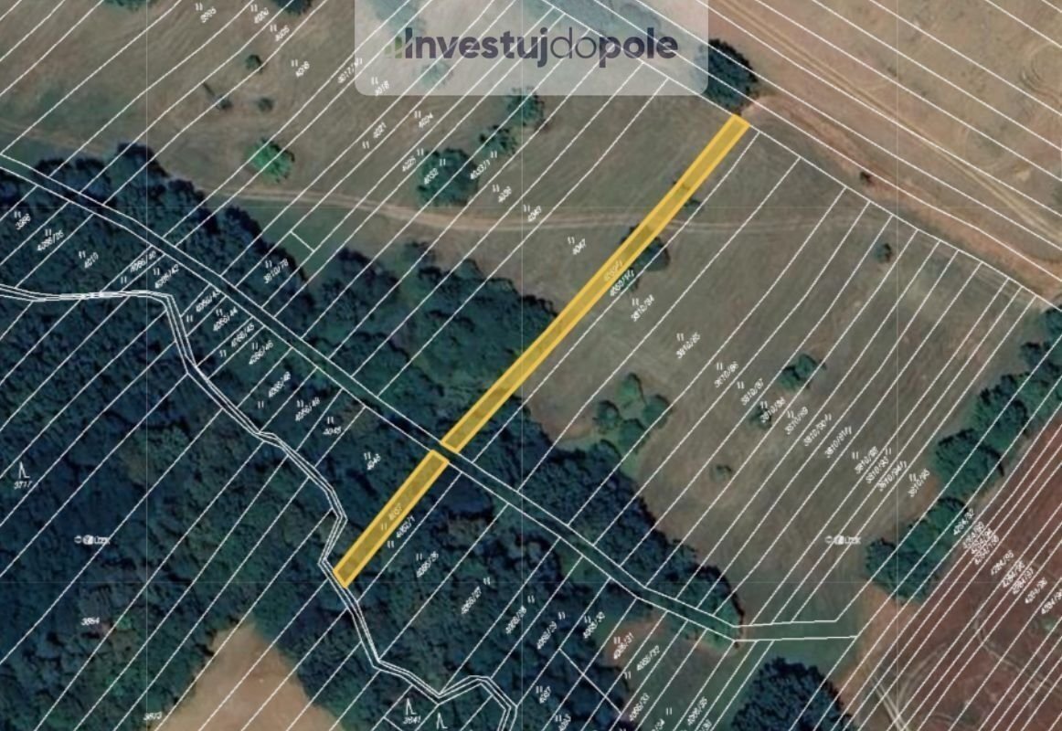 Prodej podílu 1/2 pole 3 272 m², Mistřice