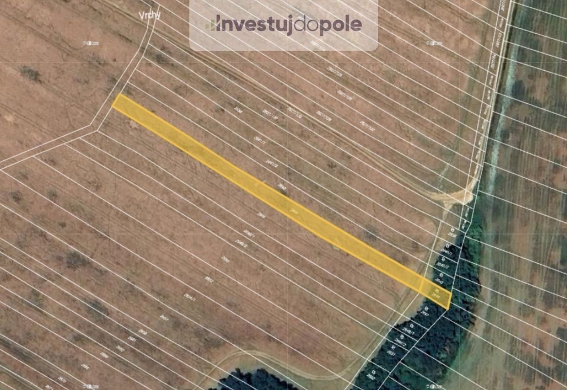 Prodej podílu 1/2 pole 3 272 m², Mistřice