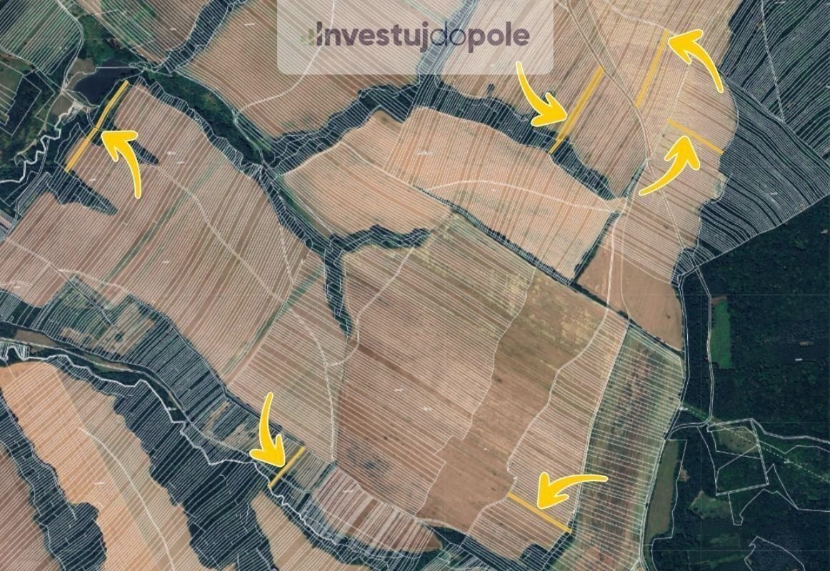 Prodej podílu 1/2 pole 3 272 m², Mistřice
