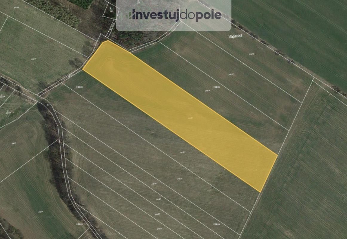 Prodej pole 17 583 m², Neustupov - Královna