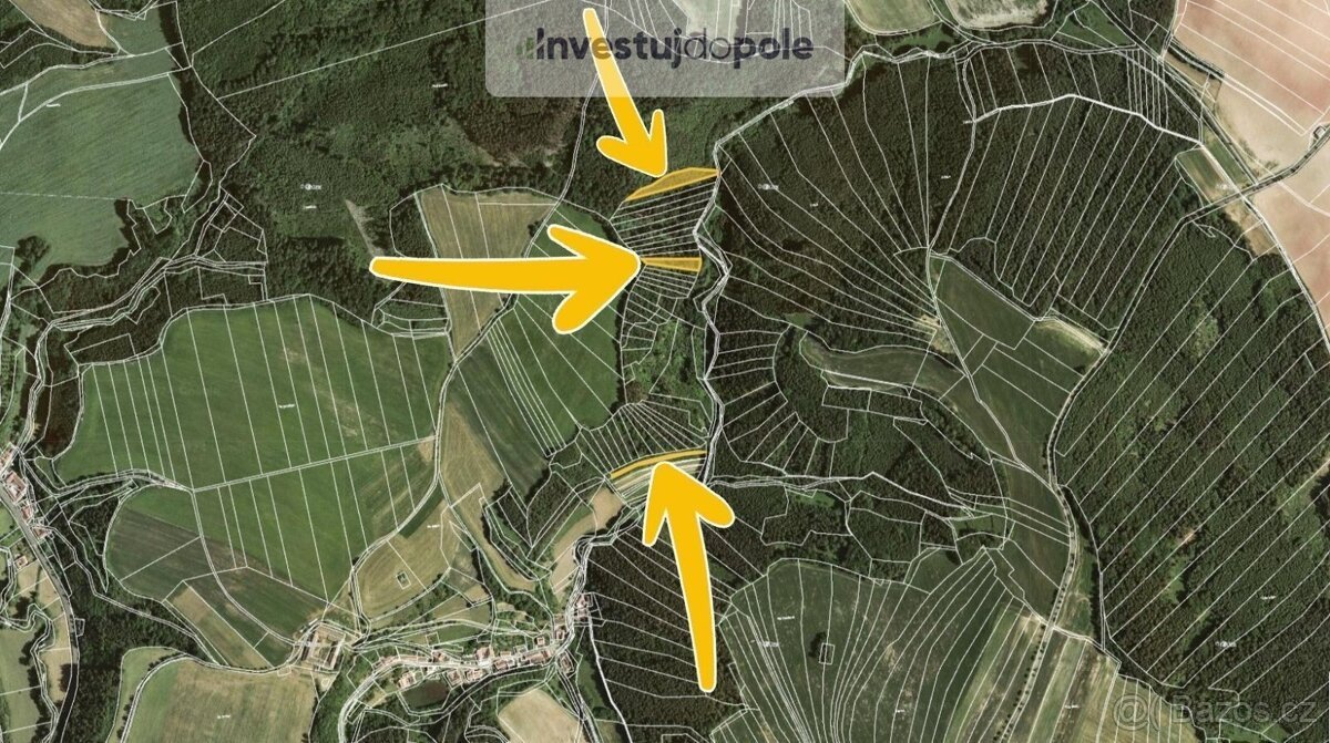 Prodej lesa 4 290 m², Letovice - Slatinka