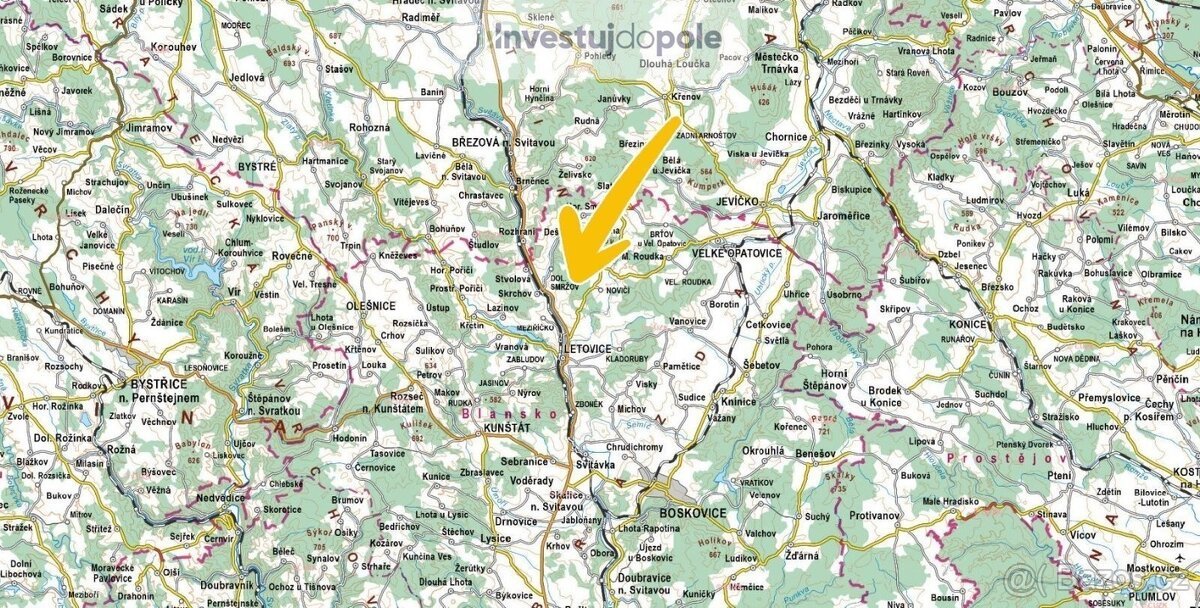 Prodej lesa 4 290 m², Letovice - Slatinka