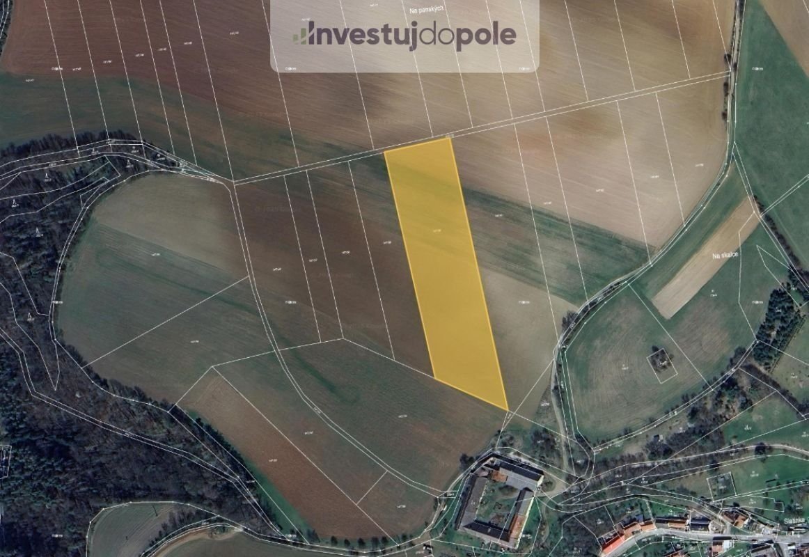 Prodej pole 12 248 m², Letovice - Slatinka