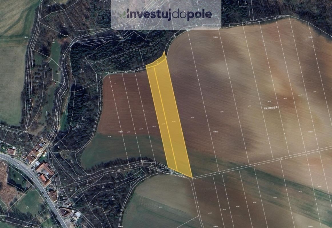Prodej pole 10 583 m², Letovice - Slatinka