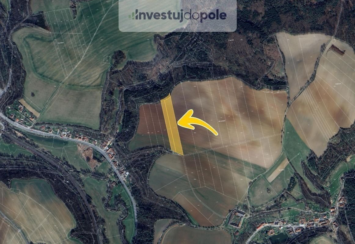 Prodej pole 10 583 m², Letovice - Slatinka
