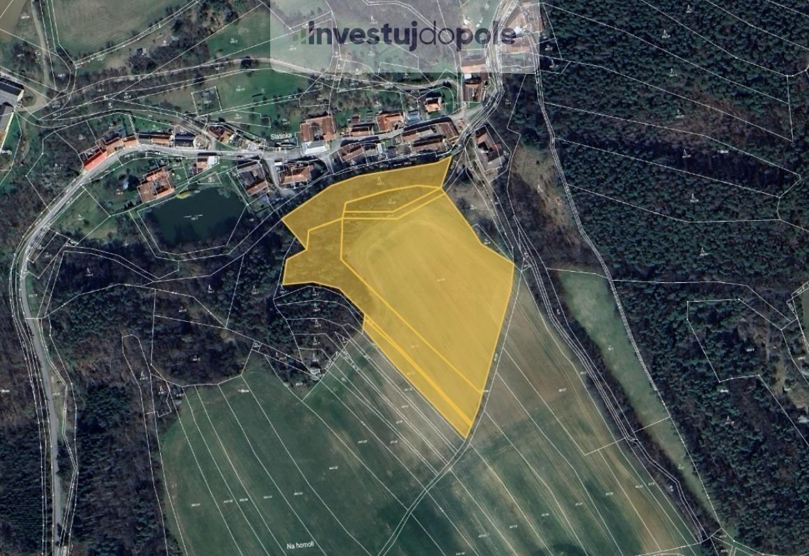 Prodej pole 23 277 m², Letovice - Slatinka, ev.č. 2025-06-03