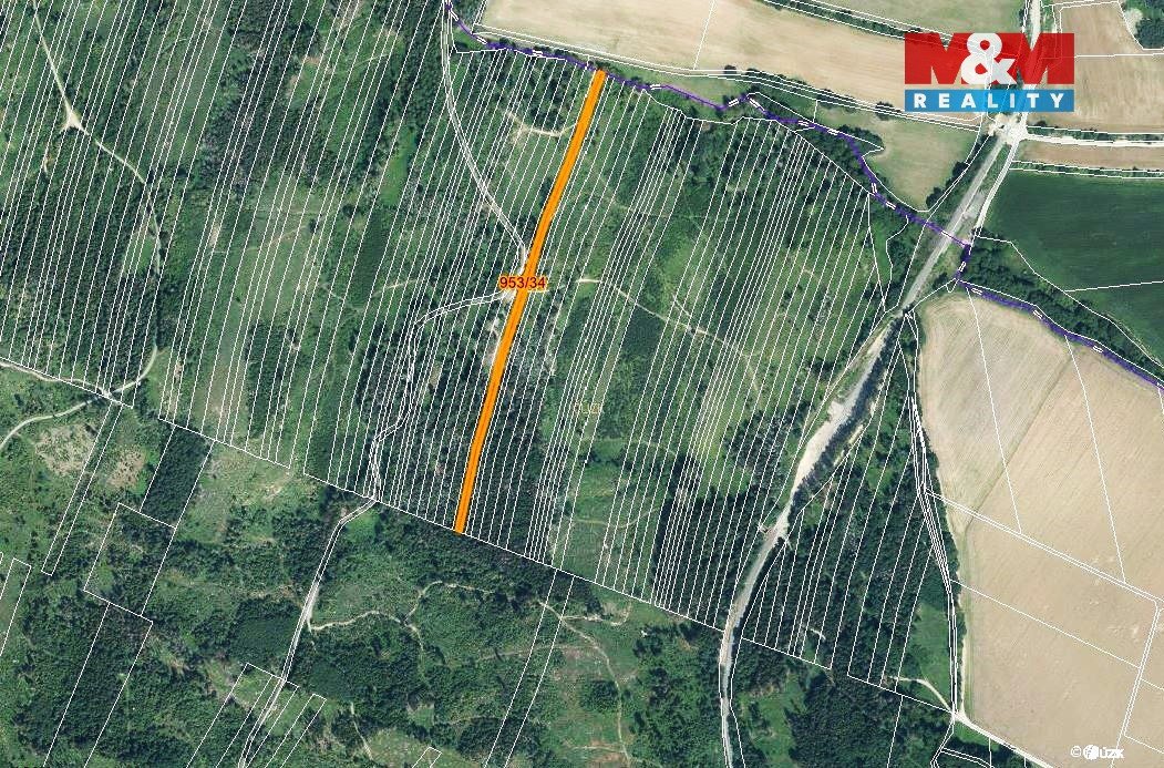Prodej lesa, 5346 m², Nová Hradečná
