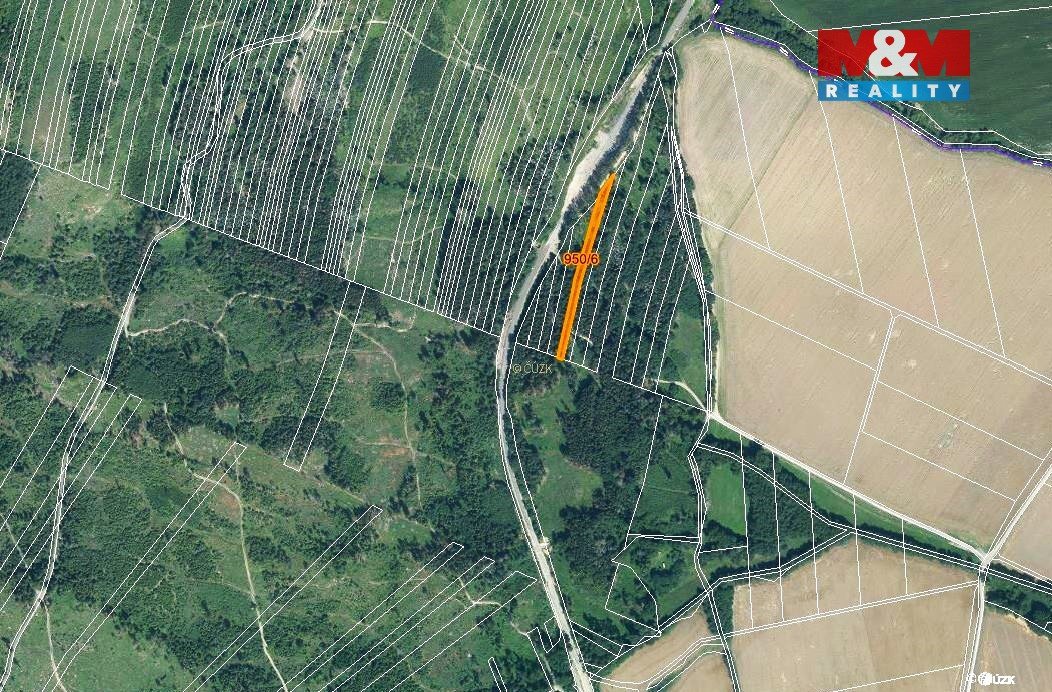 Prodej lesa, 5346 m², Nová Hradečná